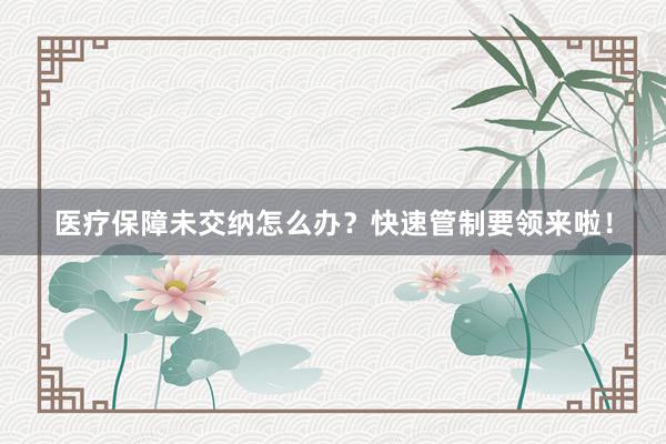 医疗保障未交纳怎么办？快速管制要领来啦！