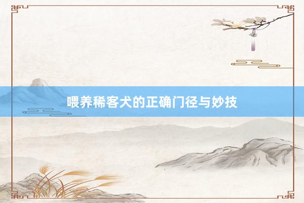 喂养稀客犬的正确门径与妙技
